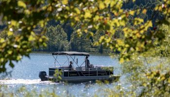 A boat cruises on a lake, surrounded by leafy trees and greenery, with the backdrop of a forested hillside in clear weather.