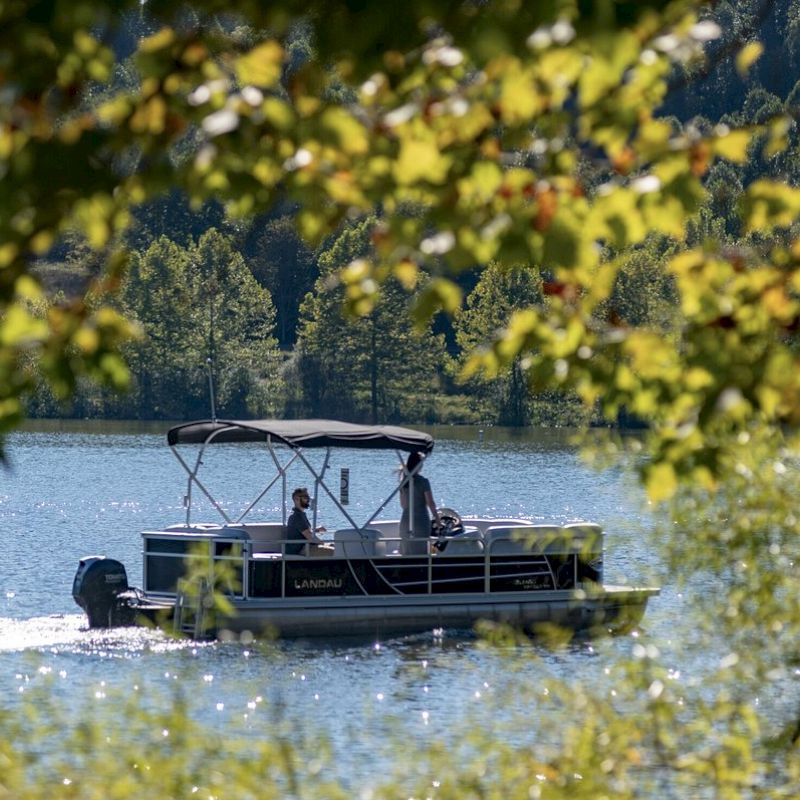 A pontoon boat glides on a lake, framed by lush green leaves, with forested hills visible in the background.