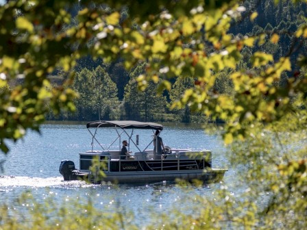 A boat is cruising on a serene lake surrounded by lush green trees, with sunlight filtering through the leaves, creating a peaceful scene.