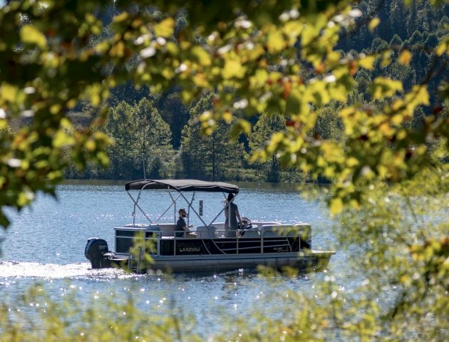 A pontoon boat cruises on a serene lake, framed by green foliage under a clear sky, offering a peaceful outdoor scene.