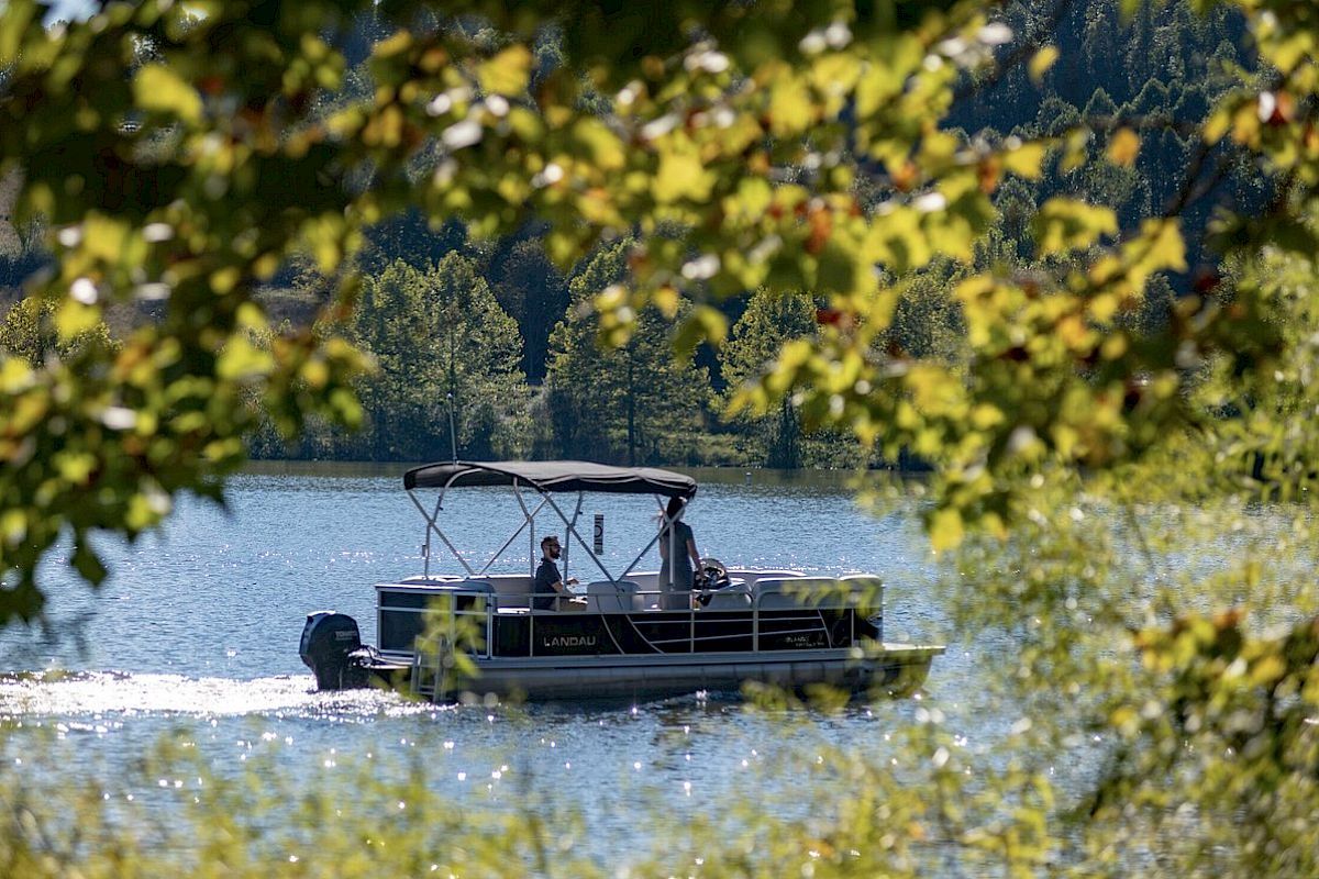 A boat is moving on a serene lake, framed by green leaves, with trees in the background, creating a peaceful, scenic view.